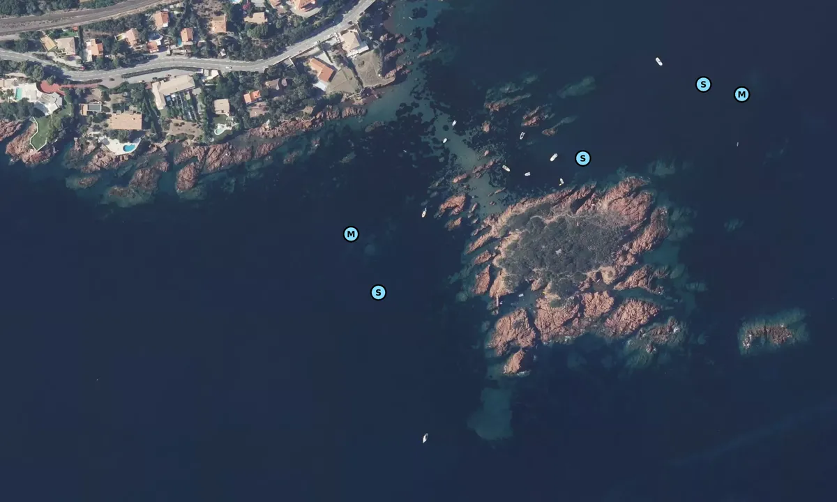 Satelite image of Île des Vieilles