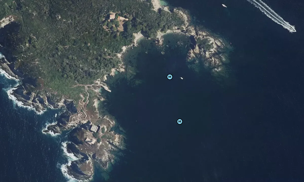 Satelite image of Île du Grand Ribaud