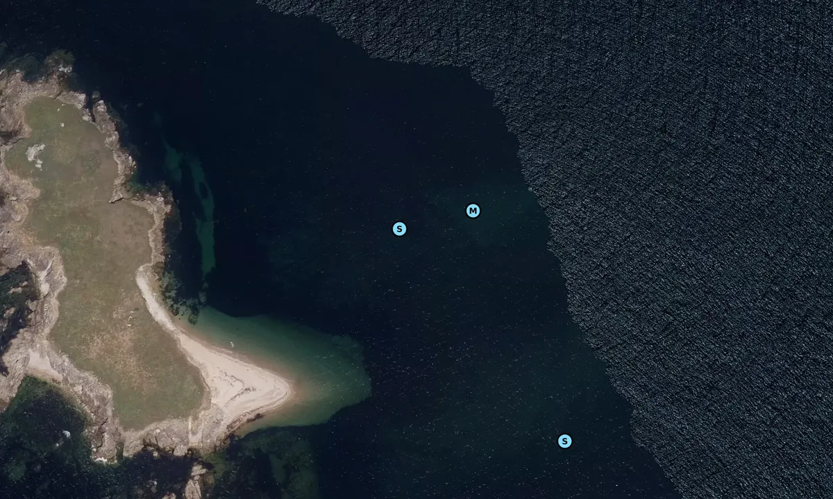Satelite image of Île Téviec