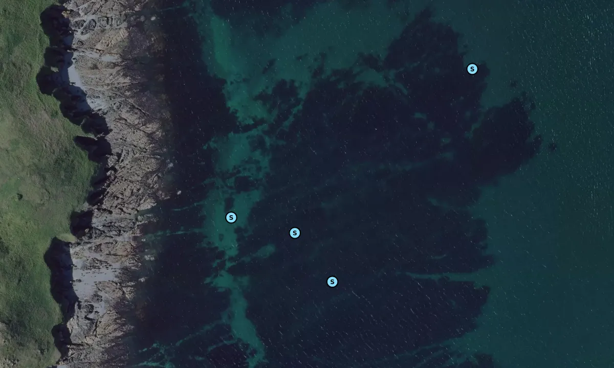Satelite image of Ile Tomé