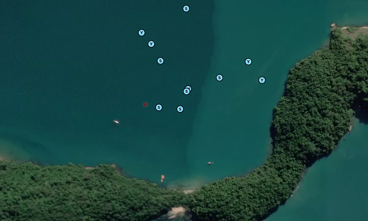 Satelite image of Ilha da Cotia