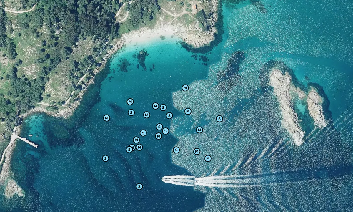Satelite image of Illas Atlanticas de Galicia