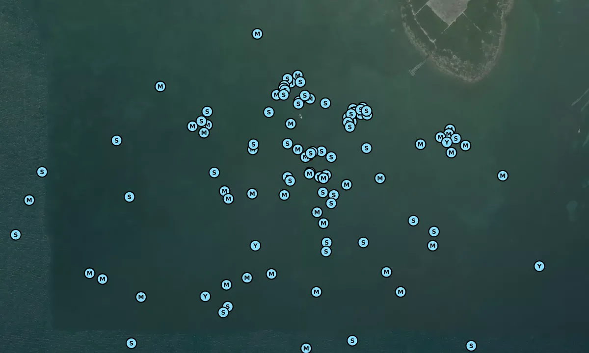 Satelite image of Indian Key