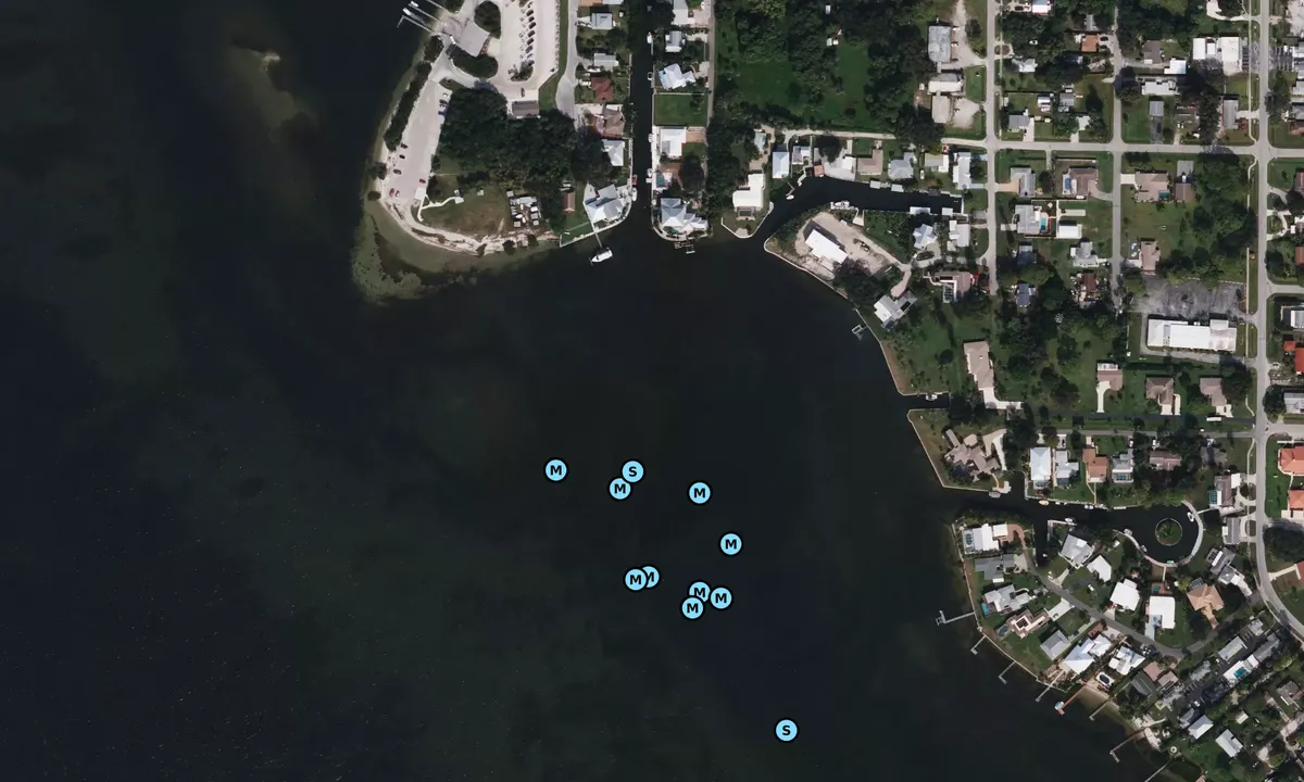 Satelite image of Indian Mound Park