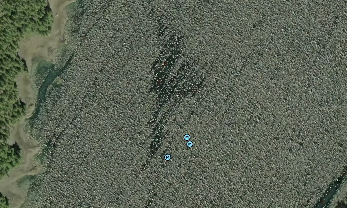 Satelite image of Ingraham Bay South Arm
