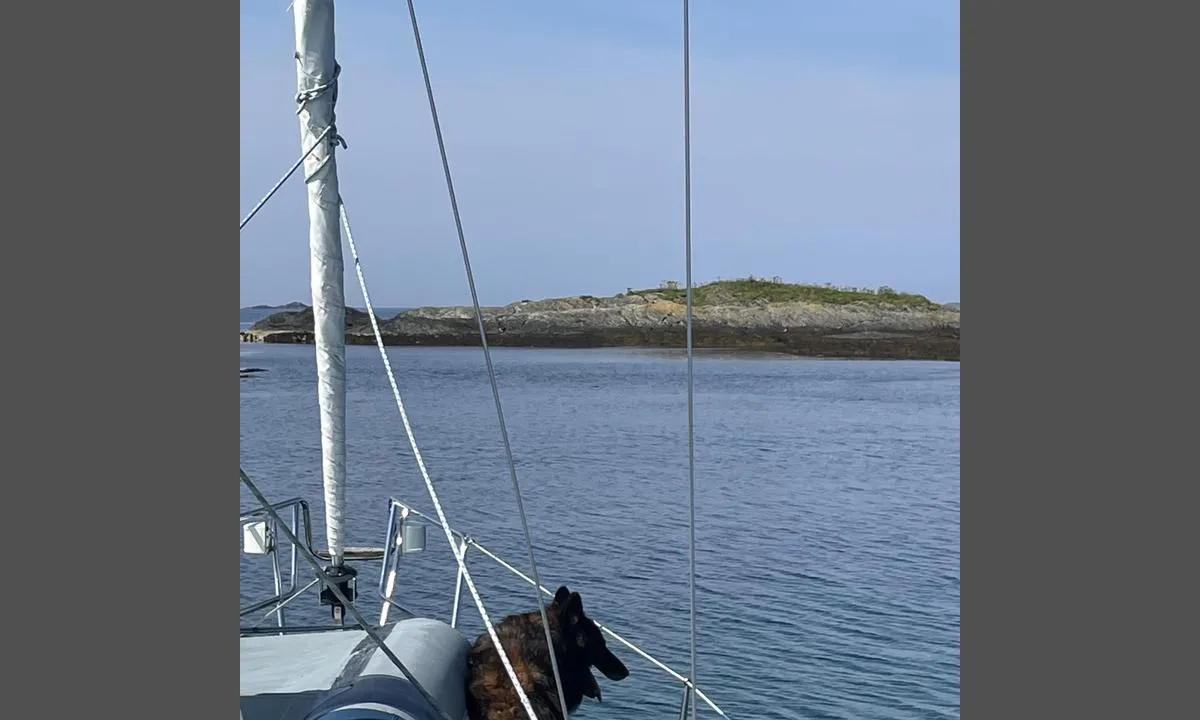 Ingvaldsøvna
