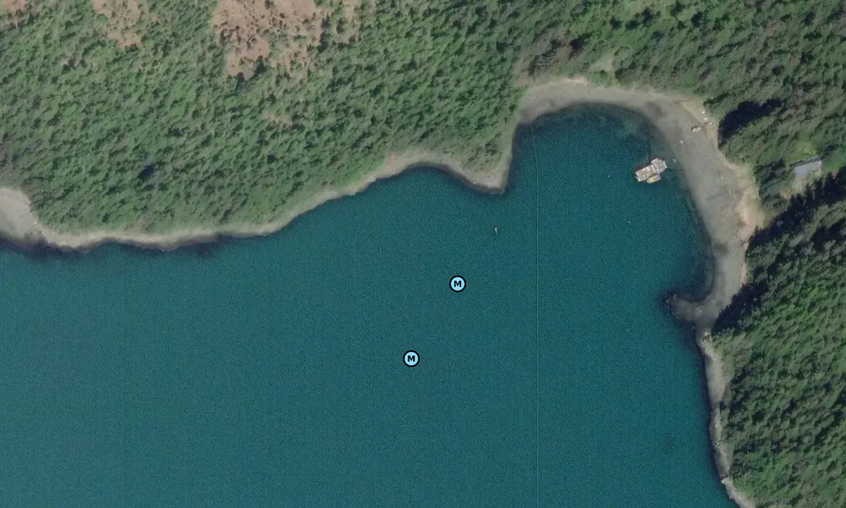 Satelite image of Inian Cove (northeast)
