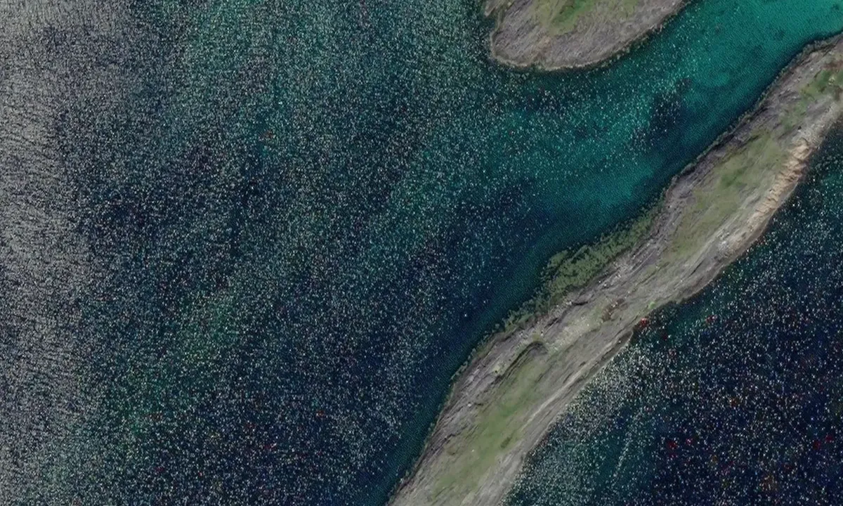 Satelite image of Inner odden