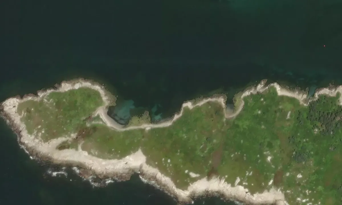 Satelite image of Inner Sambro Island