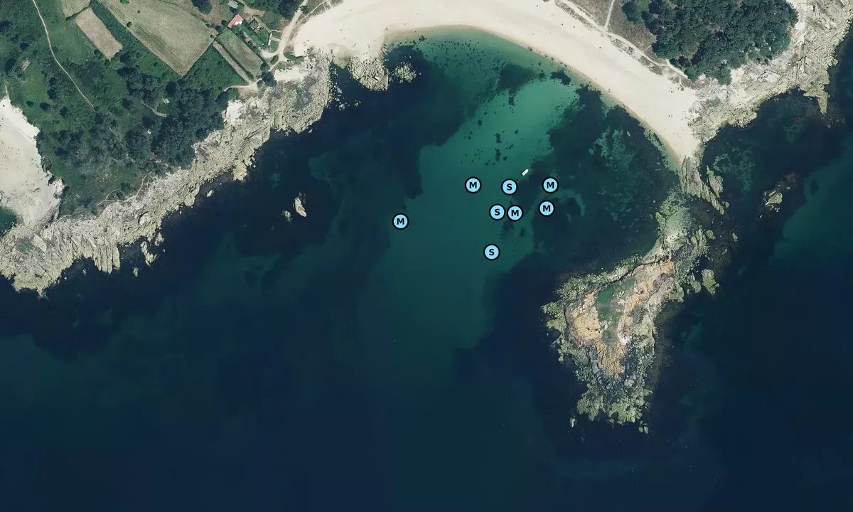 Satelite image of Insua da Rúa
