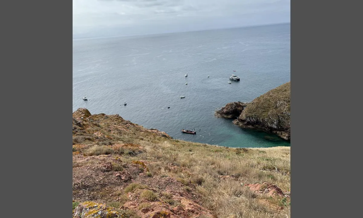 Isla Berlengas