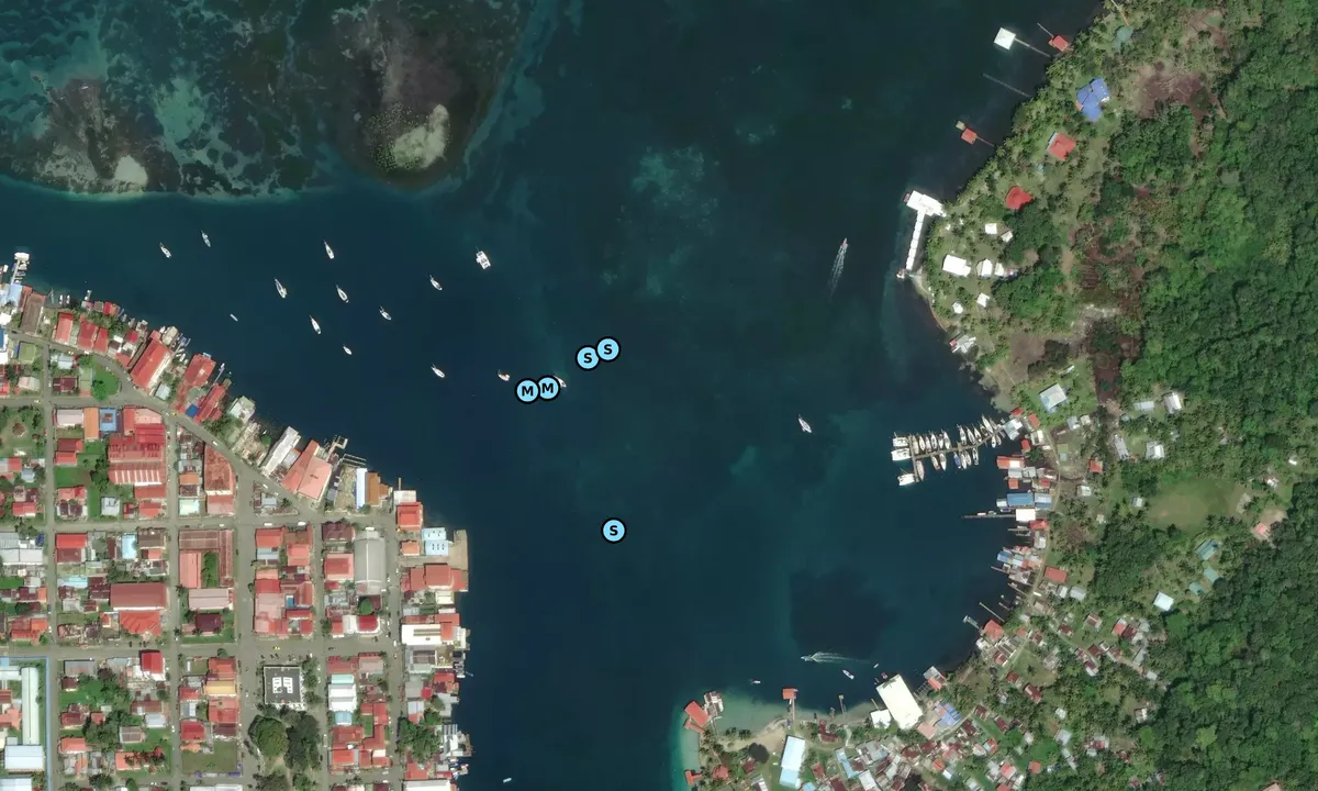 Satelite image of Isla Carenero