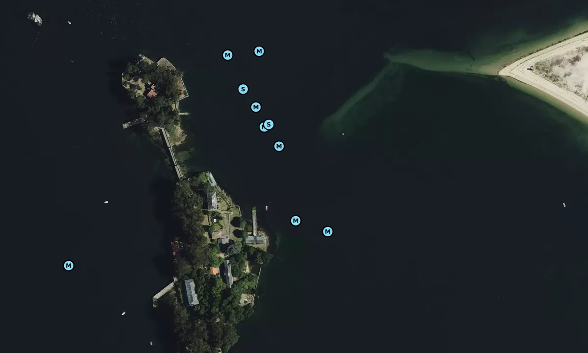 Satelite image of Isla de San Simón