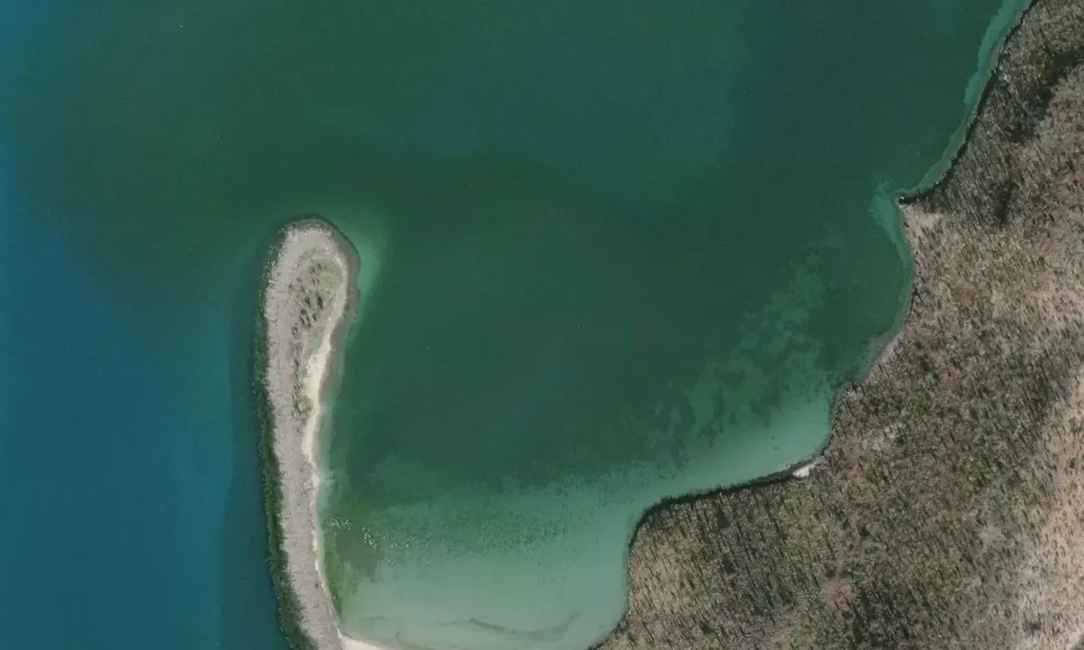 Satelite image of Isla Pajaro