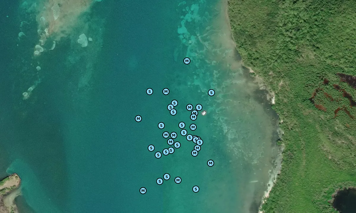 Satelite image of Isla Pineros 1