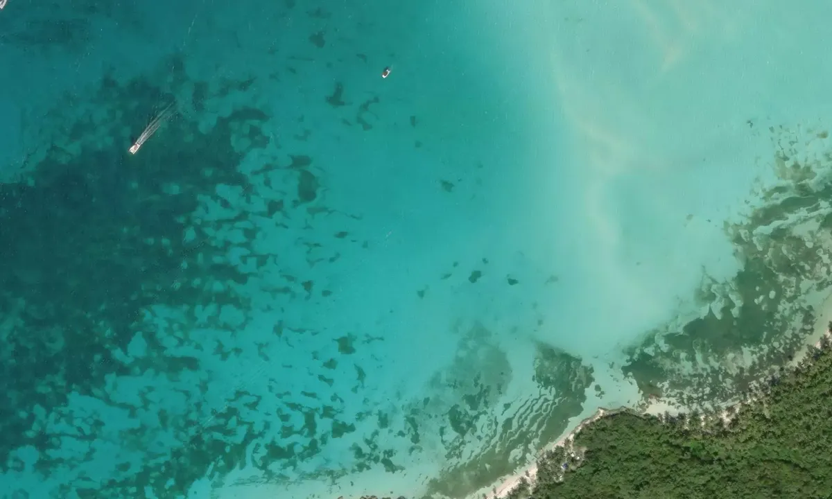 Satelite image of Isla Saona