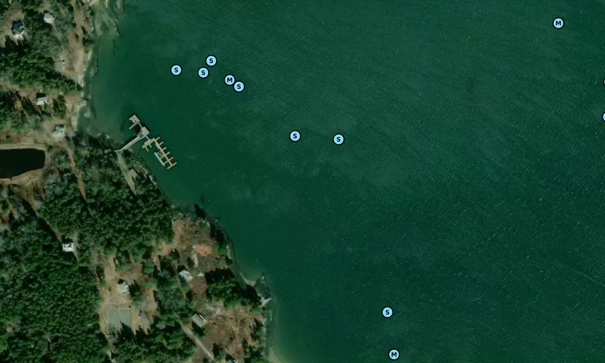 Satelite image of Isle of Springs
