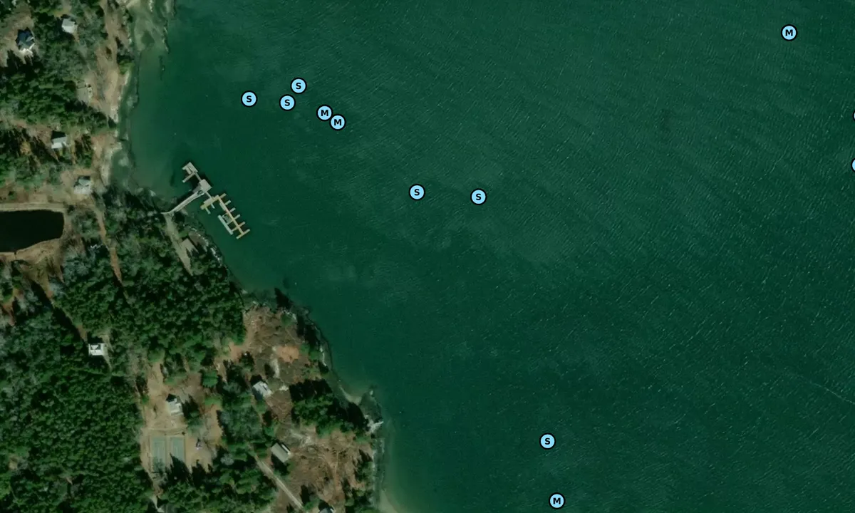 Satelite image of Isle of Springs