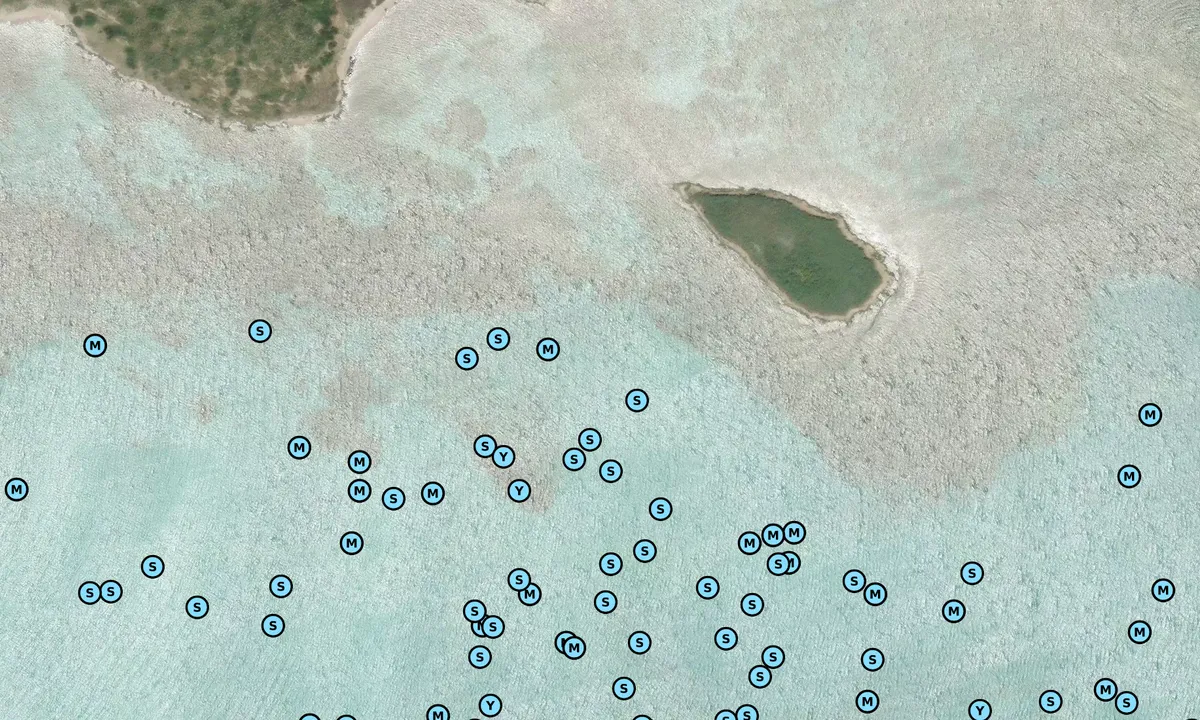 Satelite image of Isola Piana 1