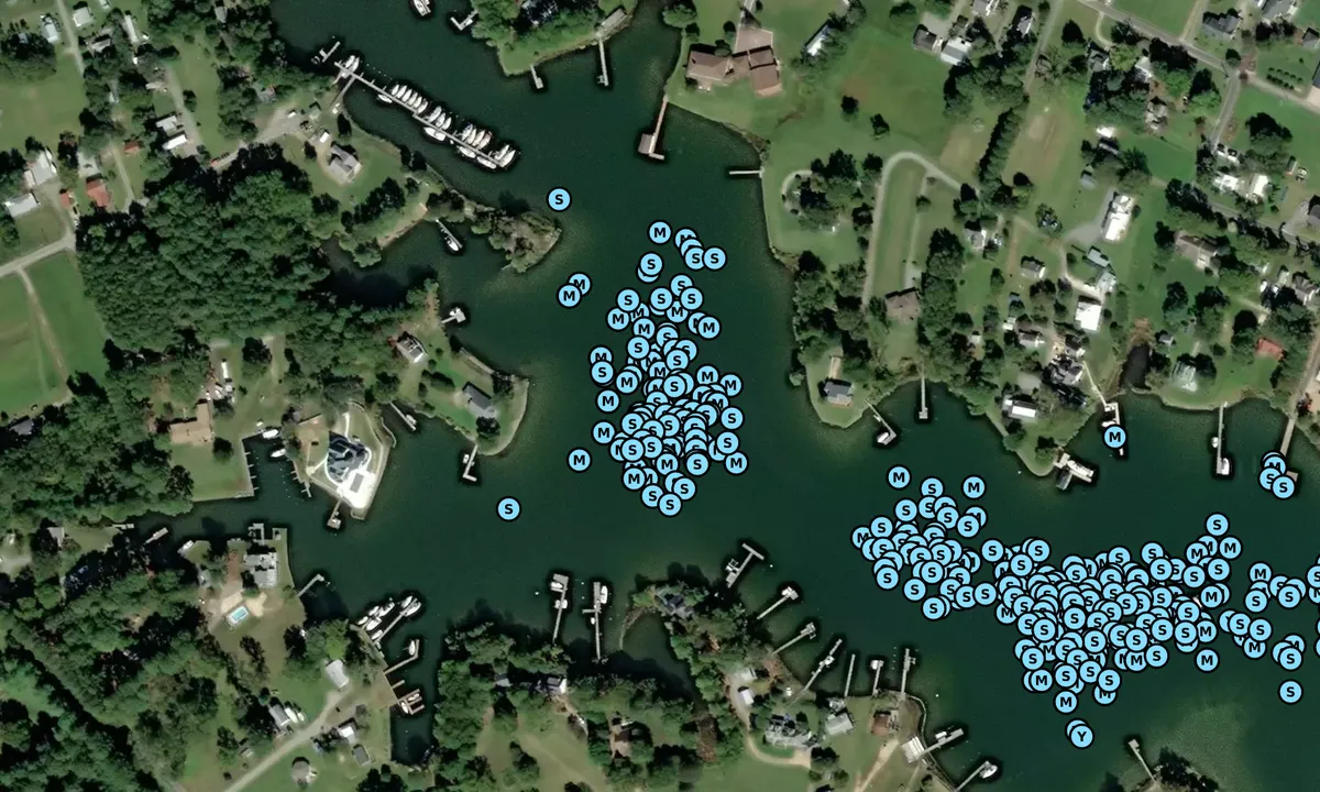 Satelite image of Jackson Creek - 1