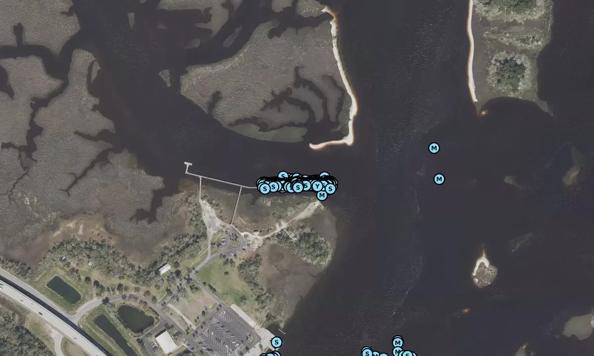 Satelite image of Jacksonville Free City Dock