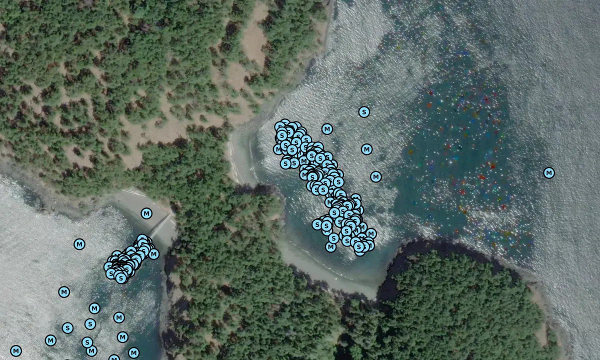 Satelite image of James Island State Park (East)