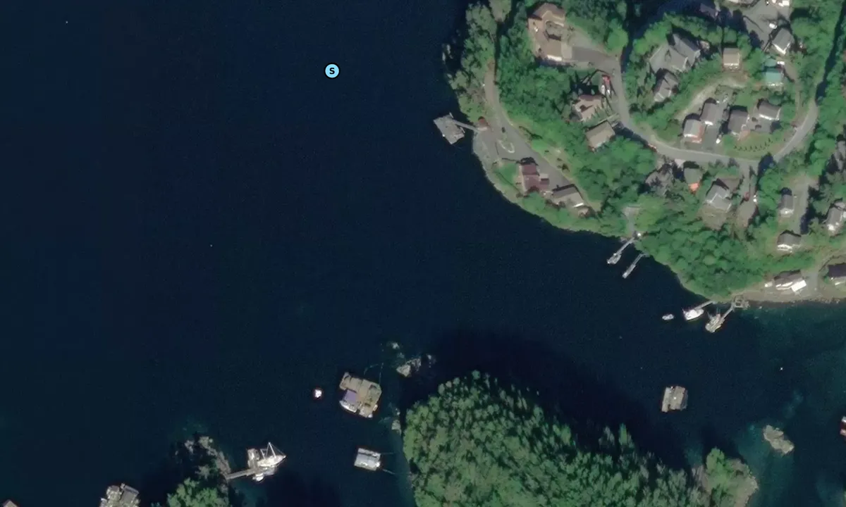 Satelite image of Jamestown Bay