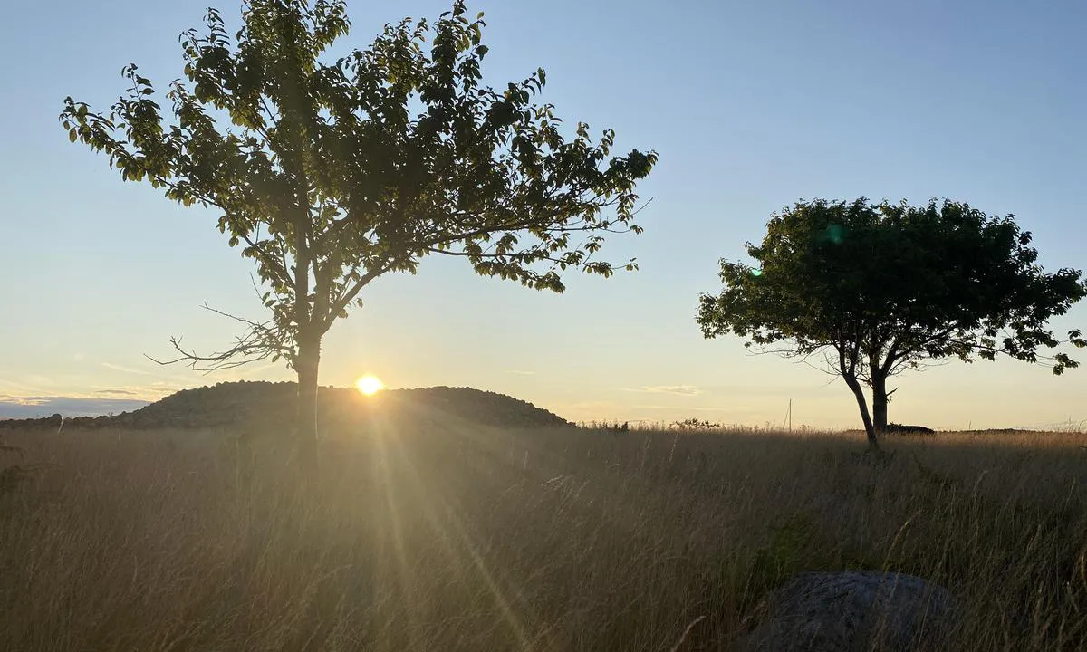 Jerkholmen: {"base": "no", "no": "Solnedgangen over stor gravhaug.", "se": "Solnedg\u00e5ngen \u00f6ver stor gravh\u00f6g.", "en": "The sunset over the large burial mound.", "da": "Solnedgangen over stor gravh\u00f8j.", "fr": "Le coucher du soleil sur un grand tumulus.", "de": "Der Sonnenuntergang \u00fcber einem gro\u00dfen Grabh\u00fcgel.", "es": "La puesta del sol sobre gran t\u00famulo.", "it": "Il tramonto sulla grande tomba a tumulo.", "pt": "O p\u00f4r do sol sobre o grande t\u00famulo de barro.", "nl": "Zonsondergang over grote grafheuvel.", "pl": "Zach\u00f3d s\u0142o\u0144ca nad du\u017cym kurhanem.", "uk": "\u0417\u0430\u0445\u0456\u0434 \u0441\u043e\u043d\u0446\u044f \u043d\u0430\u0434 \u0432\u0435\u043b\u0438\u043a\u0438\u043c \u043a\u0443\u0440\u0433\u0430\u043d\u043e\u043c.", "ro": "Apusul de soare peste un mare morm\u00e2nt.", "tr": "B\u00fcy\u00fck t\u00fcm\u00fcl\u00fcs \u00fczerinde g\u00fcn bat\u0131m\u0131.", "el": "\u03a4\u03bf \u03b7\u03bb\u03b9\u03bf\u03b2\u03b1\u03c3\u03af\u03bb\u03b5\u03bc\u03b1 \u03c0\u03ac\u03bd\u03c9 \u03b1\u03c0\u03cc \u03c4\u03bf\u03bd \u03bc\u03b5\u03b3\u03ac\u03bb\u03bf \u03c4\u03cd\u03bc\u03b2\u03bf.", "cs": "Z\u00e1pad slunce nad velkou mohylou.", "hu": "Naplemente a nagy halom felett.", "fi": "Auringonlasku suuren hautakummun yll\u00e4.", "bg": "\u0417\u0430\u043b\u0435\u0437\u044a\u0442 \u043d\u0430\u0434 \u0433\u043e\u043b\u0435\u043c\u0438\u044f \u043c\u043e\u0433\u0438\u043b\u0435\u043d \u0445\u044a\u043b\u043c.", "sr": "Zalazak sunca iznad velike tumulske grobnice.", "et": "P\u00e4ikeseloojang suure k\u00fcnka kohal.", "lv": "Saulriets p\u0101r lielo kaps\u0113tu.", "lt": "Saul\u0117lydis vir\u0161 didel\u0117s pilkapio."}