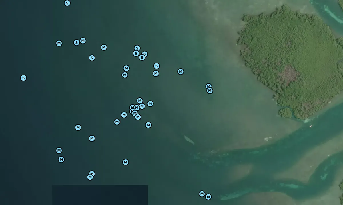 Satelite image of Jewfish basin 2