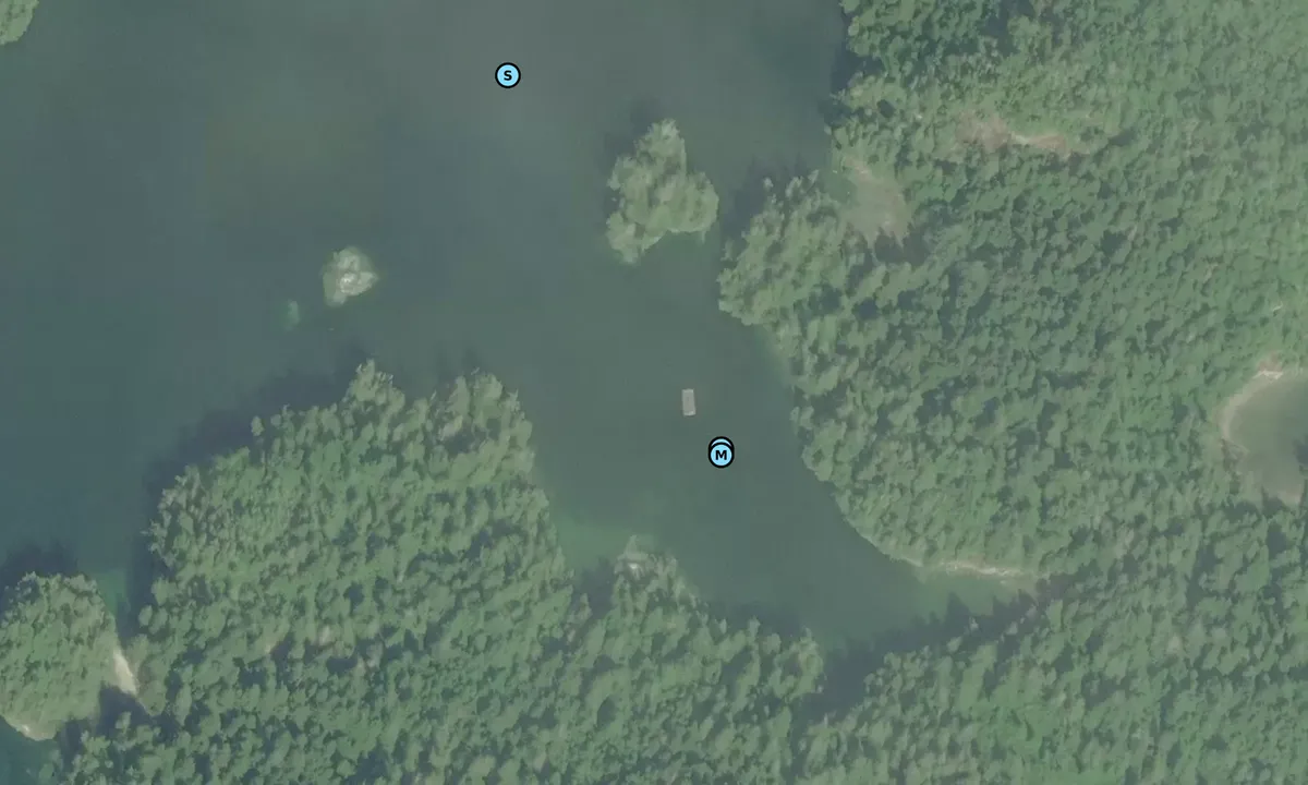 Satelite image of Joe Cove Net Float
