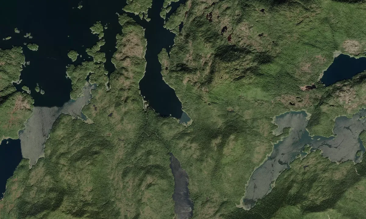 Flyfoto av Johnson Cove - Alaska