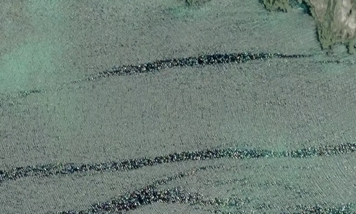 Satelite image of Jøssvågen