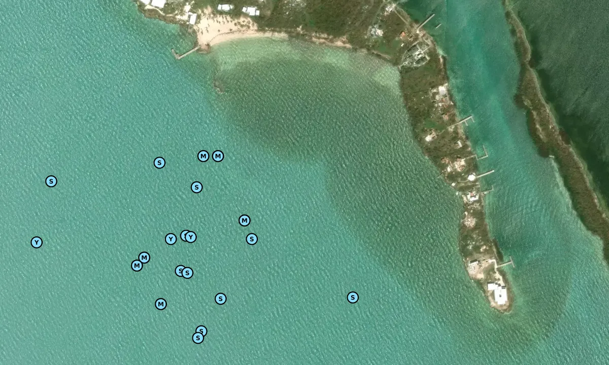 Satelite image of Joyless Point