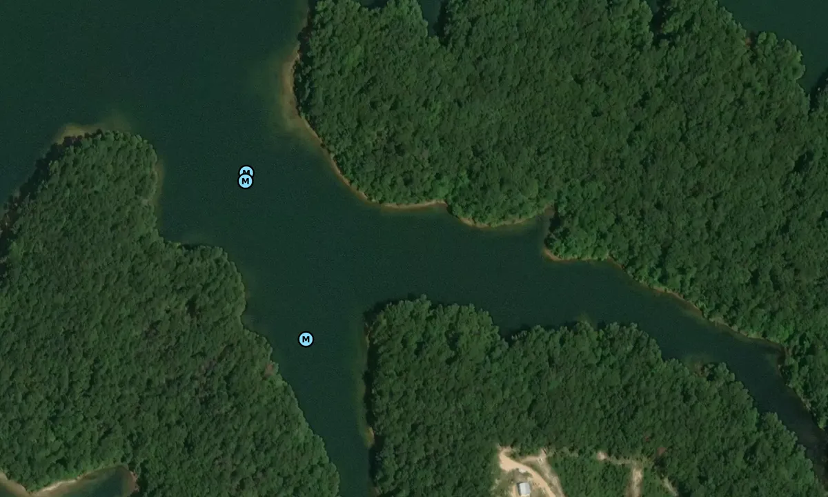Satelite image of Jugfish Branch