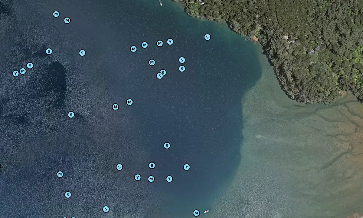 Satelite image of Kaiaraara Bay