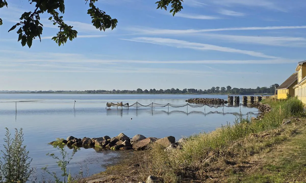 Kalvehave Havn