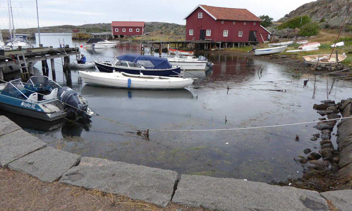 Kalvön Fiskehamn