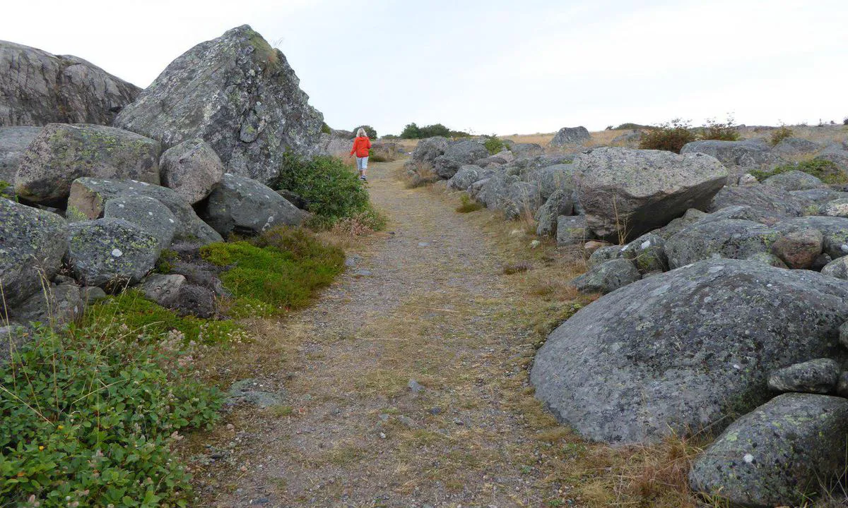 Kalvön Fiskehamn