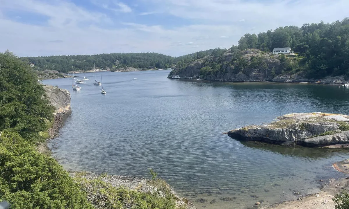 Karholmen - Nistingen - SXK Västkust bouy: {"base": "no", "no": "Her ser du mot \u00f8st. Bolter i fjellet til venstre hele veien men grunt med unntak for siste biten mot stranda hvor det er minst to meter og et par bolter med ca 20 fot i mellom. Greit for en mindre b\u00e5t. Sm\u00e5 bolter, vanskelig \u00e5 f\u00e5 \u00f8ye p\u00e5. Nydelig strand i enden av bukta", "se": "H\u00e4r ser du mot \u00f6ster. Bultar i berget till v\u00e4nster hela v\u00e4gen men grundligt med undantag f\u00f6r sista biten mot stranden d\u00e4r det \u00e4r minst tv\u00e5 meter och ett par bultar med cirka 20 fot emellan. Okej f\u00f6r en mindre b\u00e5t. Sm\u00e5 bultar, sv\u00e5ra att f\u00e5 syn p\u00e5. Underbar strand i slutet av bukten.", "en": "Here you are looking east. Bolts in the rock to the left all the way, but shallow except for the last stretch towards the beach where there is at least two meters depth and a couple of bolts spaced about 20 feet apart. Suitable for a smaller boat. Small bolts, difficult to spot. Beautiful beach at the end of the bay.", "da": "Her ser du mod \u00f8st. Bolte i fjeldet til venstre hele vejen men lavvandet med undtagelse af den sidste str\u00e6kning mod stranden hvor der er mindst to meter og et par bolte med ca 20 fod imellem. Egnet for en mindre b\u00e5d. Sm\u00e5 bolte, sv\u00e6re at f\u00e5 \u00f8je p\u00e5. Dejlig strand for enden af bugten.", "fr": "Voici la vue vers l'est. Des boulons dans la roche \u00e0 gauche tout le long, mais peu profond \u00e0 l'exception de la derni\u00e8re partie vers la plage o\u00f9 il y a au moins deux m\u00e8tres et quelques boulons espac\u00e9s d'environ 20 pieds. Convient pour un petit bateau. Petits boulons, difficiles \u00e0 rep\u00e9rer. Belle plage au bout de la baie.", "de": "Hier blickst du nach Osten. Bolzen im Felsen links die ganze Strecke entlang, aber es ist flach au\u00dfer dem letzten St\u00fcck Richtung Strand, wo es mindestens zwei Meter tief ist und ein paar Bolzen im Abstand von ca. 20 Fu\u00df liegen. Geeignet f\u00fcr ein kleineres Boot. Kleine Bolzen, schwer zu erkennen. Herrlicher Strand am Ende der Bucht.", "es": "Aqu\u00ed miras hacia el este. Perno en la roca a la izquierda todo el camino, pero poca profundidad, excepto por el \u00faltimo tramo hacia la playa donde hay al menos dos metros y un par de pernos con aproximadamente 20 pies entre ellos. Adecuado para un barco m\u00e1s peque\u00f1o. Pernos peque\u00f1os, dif\u00edciles de distinguir. Hermosa playa al final de la bah\u00eda.", "it": "Qui si vede verso est. Bulloni nella roccia a sinistra per tutto il percorso, ma basso fondale ad eccezione dell'ultimo tratto verso la spiaggia dove ci sono almeno due metri e un paio di bulloni con circa 20 piedi di distanza. Va bene per una barca pi\u00f9 piccola. Piccoli bulloni, difficili da individuare. Bellissima spiaggia alla fine della baia.", "pt": "Aqui voc\u00ea olha para o leste. Parafusos na rocha \u00e0 esquerda por todo o caminho, mas \u00e9 raso com exce\u00e7\u00e3o da \u00faltima parte em dire\u00e7\u00e3o \u00e0 praia, onde h\u00e1 pelo menos dois metros e alguns parafusos com cerca de 20 p\u00e9s de dist\u00e2ncia entre eles. Adequado para um barco menor. Parafusos pequenos, dif\u00edcil de ver. Linda praia no final da ba\u00eda.", "nl": "Hier kijk je naar het oosten. Bouten in de rotsen aan de linkerkant de hele weg, maar ondiep met uitzondering van het laatste stuk naar het strand waar het minstens twee meter diep is en een paar bouten met ongeveer 6 meter ertussen. Geschikt voor een kleinere boot. Kleine bouten, moeilijk te zien. Mooi strand aan het einde van de baai.", "pl": "Tu widzisz w kierunku wschodnim. \u015aruby mocuj\u0105ce w skale po lewej stronie na ca\u0142ej d\u0142ugo\u015bci, ale p\u0142ytko z wyj\u0105tkiem ostatniego odcinka w kierunku pla\u017cy, gdzie jest przynajmniej dwa metry g\u0142\u0119boko\u015bci i kilka \u015brub mocuj\u0105cych rozmieszczonych co oko\u0142o 20 st\u00f3p. Odpowiednie dla mniejszych \u0142odzi. Ma\u0142e \u015bruby mocuj\u0105ce, trudne do zauwa\u017cenia. Przepi\u0119kna pla\u017ca na ko\u0144cu zatoki.", "uk": "<p>\u0422\u0443\u0442 \u0432\u0438 \u0434\u0438\u0432\u0438\u0442\u0435\u0441\u044c \u043d\u0430 \u0441\u0445\u0456\u0434. \u0411\u043e\u043b\u0442\u0438 \u0432 \u0441\u043a\u0435\u043b\u0456 \u0437\u043b\u0456\u0432\u0430 \u0432\u0435\u0441\u044c \u0447\u0430\u0441, \u0430\u043b\u0435 \u043c\u0456\u043b\u043a\u043e, \u0437\u0430 \u0432\u0438\u043d\u044f\u0442\u043a\u043e\u043c \u043e\u0441\u0442\u0430\u043d\u043d\u044c\u043e\u0457 \u0447\u0430\u0441\u0442\u0438\u043d\u0438 \u0434\u043e \u043f\u043b\u044f\u0436\u0443, \u0434\u0435 \u0433\u043b\u0438\u0431\u0438\u043d\u0430 \u0441\u0442\u0430\u043d\u043e\u0432\u0438\u0442\u044c \u043d\u0435 \u043c\u0435\u043d\u0448\u0435 \u0434\u0432\u043e\u0445 \u043c\u0435\u0442\u0440\u0456\u0432, \u0456 \u0454 \u043a\u0456\u043b\u044c\u043a\u0430 \u0431\u043e\u043b\u0442\u0456\u0432 \u0437 \u0432\u0456\u0434\u0441\u0442\u0430\u043d\u043d\u044e \u043f\u0440\u0438\u0431\u043b\u0438\u0437\u043d\u043e 20 \u0444\u0443\u0442\u0456\u0432 \u043c\u0456\u0436 \u043d\u0438\u043c\u0438. \u041f\u0456\u0434\u0445\u043e\u0434\u0438\u0442\u044c \u0434\u043b\u044f \u043c\u0435\u043d\u0448\u043e\u0433\u043e \u0447\u043e\u0432\u043d\u0430. \u0411\u043e\u043b\u0442\u0438 \u043c\u0430\u043b\u0435\u043d\u044c\u043a\u0456, \u0457\u0445 \u0432\u0430\u0436\u043a\u043e \u043f\u043e\u0431\u0430\u0447\u0438\u0442\u0438. \u0412 \u043a\u0456\u043d\u0446\u0456 \u0431\u0443\u0445\u0442\u0438 \u0447\u0443\u0434\u043e\u0432\u0438\u0439 \u043f\u043b\u044f\u0436.</p>", "ro": "Aici prive\u0219ti c\u0103tre est. Bol\u021buri \u00een st\u00e2nc\u0103 pe partea st\u00e2ng\u0103 tot drumul, dar este pu\u021bin ad\u00e2nc, cu excep\u021bia ultimei p\u0103r\u021bi c\u0103tre plaj\u0103, unde ad\u00e2ncimea este de cel pu\u021bin doi metri \u0219i exist\u0103 c\u00e2teva bol\u021buri la aproximativ 20 de picioare distan\u021b\u0103. Bun pentru o barc\u0103 mai mic\u0103. Bol\u021buri mici, greu de observat. Plaj\u0103 minunat\u0103 la cap\u0103tul golfului.", "tr": "<p>Buradan do\u011fuya bak\u0131yorsunuz. Yol boyunca sol taraftaki kayalara c\u0131vatalar \u00e7ak\u0131lm\u0131\u015f ama s\u0131\u011f, sadece plaja do\u011fru olan son k\u0131s\u0131mda en az iki metre derinlik ve aralar\u0131nda yakla\u015f\u0131k 20 fit mesafe olan birka\u00e7 c\u0131vata var. K\u00fc\u00e7\u00fck bir tekne i\u00e7in uygun. K\u00fc\u00e7\u00fck c\u0131vatalar, fark edilmesi zor. Koyun sonunda g\u00fczel bir plaj var.</p>", "el": "\u0395\u03b4\u03ce \u03b2\u03bb\u03ad\u03c0\u03b5\u03c4\u03b5 \u03c0\u03c1\u03bf\u03c2 \u03c4\u03b7\u03bd \u03b1\u03bd\u03b1\u03c4\u03bf\u03bb\u03ae. \u039c\u03c0\u03bf\u03c5\u03bb\u03cc\u03bd\u03b9\u03b1 \u03c3\u03c4\u03bf \u03b2\u03bf\u03c5\u03bd\u03cc \u03c3\u03c4\u03b1 \u03b1\u03c1\u03b9\u03c3\u03c4\u03b5\u03c1\u03ac \u03c3\u03b5 \u03cc\u03bb\u03b7 \u03c4\u03b7 \u03b4\u03b9\u03b1\u03b4\u03c1\u03bf\u03bc\u03ae, \u03b1\u03bb\u03bb\u03ac \u03c1\u03b7\u03c7\u03ac \u03bd\u03b5\u03c1\u03ac \u03b5\u03ba\u03c4\u03cc\u03c2 \u03b1\u03c0\u03cc \u03c4\u03bf \u03c4\u03b5\u03bb\u03b5\u03c5\u03c4\u03b1\u03af\u03bf \u03ba\u03bf\u03bc\u03bc\u03ac\u03c4\u03b9 \u03c0\u03c1\u03bf\u03c2 \u03c4\u03b7\u03bd \u03c0\u03b1\u03c1\u03b1\u03bb\u03af\u03b1 \u03cc\u03c0\u03bf\u03c5 \u03c4\u03bf \u03b2\u03ac\u03b8\u03bf\u03c2 \u03b5\u03af\u03bd\u03b1\u03b9 \u03c4\u03bf\u03c5\u03bb\u03ac\u03c7\u03b9\u03c3\u03c4\u03bf\u03bd \u03b4\u03cd\u03bf \u03bc\u03ad\u03c4\u03c1\u03b1, \u03ba\u03b1\u03b9 \u03c5\u03c0\u03ac\u03c1\u03c7\u03bf\u03c5\u03bd \u03bb\u03af\u03b3\u03b1 \u03bc\u03c0\u03bf\u03c5\u03bb\u03cc\u03bd\u03b9\u03b1 \u03c3\u03b5 \u03b1\u03c0\u03cc\u03c3\u03c4\u03b1\u03c3\u03b7 \u03c0\u03b5\u03c1\u03af\u03c0\u03bf\u03c5 20 \u03c0\u03bf\u03b4\u03b9\u03ce\u03bd \u03bc\u03b5\u03c4\u03b1\u03be\u03cd \u03c4\u03bf\u03c5\u03c2. \u039a\u03b1\u03c4\u03ac\u03bb\u03bb\u03b7\u03bb\u03bf \u03b3\u03b9\u03b1 \u03ad\u03bd\u03b1 \u03bc\u03b9\u03ba\u03c1\u03cc\u03c4\u03b5\u03c1\u03bf \u03c3\u03ba\u03ac\u03c6\u03bf\u03c2. \u039c\u03b9\u03ba\u03c1\u03ac \u03bc\u03c0\u03bf\u03c5\u03bb\u03cc\u03bd\u03b9\u03b1, \u03b4\u03cd\u03c3\u03ba\u03bf\u03bb\u03bf \u03bd\u03b1 \u03c4\u03b1 \u03b5\u03bd\u03c4\u03bf\u03c0\u03af\u03c3\u03b5\u03b9\u03c2. \u038c\u03bc\u03bf\u03c1\u03c6\u03b7 \u03c0\u03b1\u03c1\u03b1\u03bb\u03af\u03b1 \u03c3\u03c4\u03bf \u03c4\u03ad\u03bb\u03bf\u03c2 \u03c4\u03bf\u03c5 \u03ba\u03cc\u03bb\u03c0\u03bf\u03c5.", "cs": "D\u00edv\u00e1te se na v\u00fdchod. Spony ve sk\u00e1le vlevo celou cestu, ale m\u011blk\u00e9 s v\u00fdjimkou posledn\u00edho \u00faseku k pl\u00e1\u017ei, kde je nejm\u00e9n\u011b dva metry a n\u011bkolik spon vzd\u00e1len\u00fdch asi 20 stop od sebe. Vhodn\u00e9 pro men\u0161\u00ed lo\u010f. Mal\u00e9 spony, t\u011b\u017eko viditeln\u00e9. Kr\u00e1sn\u00e1 pl\u00e1\u017e na konci z\u00e1toky.", "hu": "Itt keletre n\u00e9zel. V\u00e9gig szegek a bal oldali szikl\u00e1kban, de sek\u00e9ly v\u00edz kiv\u00e9ve az utols\u00f3 r\u00e9szn\u00e9l a part fel\u00e9, ahol legal\u00e1bb k\u00e9t m\u00e9ter m\u00e9ly \u00e9s van n\u00e9h\u00e1ny szegecs k\u00f6r\u00fclbel\u00fcl 20 l\u00e1b t\u00e1vols\u00e1gban egym\u00e1st\u00f3l. Kisebb haj\u00f3knak alkalmas. Kis szegek, neh\u00e9z \u00e9szrevenni. Gy\u00f6ny\u00f6r\u0171 strand van az \u00f6b\u00f6l v\u00e9g\u00e9n.", "fi": "T\u00e4ss\u00e4 n\u00e4et it\u00e4\u00e4n. Kalliolla olevat pultit vasemmalla koko matkan, mutta matalaa lukuun ottamatta viimeist\u00e4 osuutta rannalle, jossa on v\u00e4hint\u00e4\u00e4n kaksi metri\u00e4 vett\u00e4 ja pari pulttia noin 20 jalan v\u00e4lein. Sopii pienemm\u00e4lle veneelle. Pienet pultit, vaikea huomata. Upea ranta lahden p\u00e4\u00e4ss\u00e4", "bg": "\u0422\u0443\u043a \u043f\u043e\u0433\u043b\u0435\u0436\u0434\u0430\u0448 \u043a\u044a\u043c \u0438\u0437\u0442\u043e\u043a. \u0411\u043e\u043b\u0442\u043e\u0432\u0435 \u0432 \u0441\u043a\u0430\u043b\u0438\u0442\u0435 \u043e\u0442\u043b\u044f\u0432\u043e \u043f\u0440\u0435\u0437 \u0446\u044f\u043b\u043e\u0442\u043e \u0432\u0440\u0435\u043c\u0435, \u043d\u043e \u043f\u043b\u0438\u0442\u043a\u043e, \u0441 \u0438\u0437\u043a\u043b\u044e\u0447\u0435\u043d\u0438\u0435 \u043d\u0430 \u043f\u043e\u0441\u043b\u0435\u0434\u043d\u043e\u0442\u043e \u043f\u0430\u0440\u0447\u0435 \u043a\u044a\u043c \u043f\u043b\u0430\u0436\u0430, \u043a\u044a\u0434\u0435\u0442\u043e \u0438\u043c\u0430 \u043f\u043e\u043d\u0435 \u0434\u0432\u0430 \u043c\u0435\u0442\u0440\u0430 \u0438 \u043d\u044f\u043a\u043e\u043b\u043a\u043e \u0431\u043e\u043b\u0442\u0430, \u0440\u0430\u0437\u043f\u043e\u043b\u043e\u0436\u0435\u043d\u0438 \u043d\u0430 \u043e\u043a\u043e\u043b\u043e 20 \u0441\u0442\u044a\u043f\u043a\u0438 \u0435\u0434\u0438\u043d \u043e\u0442 \u0434\u0440\u0443\u0433. \u041f\u043e\u0434\u0445\u043e\u0434\u044f\u0449\u043e \u0437\u0430 \u043f\u043e-\u043c\u0430\u043b\u043a\u0430 \u043b\u043e\u0434\u043a\u0430. \u041c\u0430\u043b\u043a\u0438 \u0431\u043e\u043b\u0442\u043e\u0432\u0435, \u0442\u0440\u0443\u0434\u043d\u043e \u0437\u0430\u0431\u0435\u043b\u0435\u0436\u0438\u043c\u0438. \u041f\u0440\u0435\u043a\u0440\u0430\u0441\u0435\u043d \u043f\u043b\u0430\u0436 \u0432 \u043a\u0440\u0430\u044f \u043d\u0430 \u0437\u0430\u043b\u0438\u0432\u0430.", "sr": "<p>\u041e\u0432\u0434\u0435 \u0433\u043b\u0435\u0434\u0430\u0448 \u043f\u0440\u0435\u043c\u0430 \u0438\u0441\u0442\u043e\u043a\u0443. \u041a\u0459\u0443\u0447\u0435\u0432\u0438 \u0441\u0443 \u043d\u0430 \u043b\u0435\u0432\u043e\u0458 \u0441\u0442\u0440\u0430\u043d\u0438 \u0447\u0438\u0442\u0430\u0432\u0438\u043c \u043f\u0443\u0442\u0435\u043c, \u0430\u043b\u0438 \u0458\u0435 \u043f\u043b\u0438\u0442\u043a\u043e \u043e\u0441\u0438\u043c \u0443 \u043f\u043e\u0441\u043b\u0435\u0434\u045a\u0435\u043c \u0434\u0435\u043b\u0443 \u043f\u0440\u0435\u043c\u0430 \u043f\u043b\u0430\u0436\u0438 \u0433\u0434\u0435 \u0438\u043c\u0430 \u043c\u0438\u043d\u0438\u043c\u0443\u043c \u0434\u0432\u0430 \u043c\u0435\u0442\u0440\u0430 \u0438 \u043d\u0435\u043a\u043e\u043b\u0438\u043a\u043e \u043a\u0459\u0443\u0447\u0435\u0432\u0430 \u0443\u0434\u0430\u0459\u0435\u043d\u0438\u0445 \u043e\u043a\u043e 20 \u0441\u0442\u043e\u043f\u0430 \u0458\u0435\u0434\u0430\u043d \u043e\u0434 \u0434\u0440\u0443\u0433\u043e\u0433. \u041f\u043e\u0433\u043e\u0434\u043d\u043e \u0437\u0430 \u043c\u0430\u045a\u0438 \u0431\u0440\u043e\u0434. \u041c\u0430\u043b\u0438 \u043a\u0459\u0443\u0447\u0435\u0432\u0438, \u0442\u0435\u0448\u043a\u043e \u0438\u0445 \u0458\u0435 \u0443\u043e\u0447\u0438\u0442\u0438. \u041f\u0440\u0435\u0434\u0438\u0432\u043d\u0430 \u043f\u043b\u0430\u0436\u0430 \u043d\u0430 \u043a\u0440\u0430\u0458\u0443 \u0437\u0430\u043b\u0438\u0432\u0430.</p>", "et": "Siin n\u00e4ed ida poole. Kalju k\u00fcljes on kogu tee jooksul polte, aga madal vesi, v\u00e4lja arvatud viimane osa ranna poole, kus on v\u00e4hemalt kaks meetrit s\u00fcgavust ja m\u00f5ned poldid umbes 20 jala kaugusel. Sobib v\u00e4iksemale paadile. V\u00e4ikesed poldid, raske m\u00e4rgata. Ilus rand lahe l\u00f5pus.", "lv": "\u0160eit redzams austrumu virziens. Akmen\u012b ir iejaukti skr\u016bves pa kreisi visu ce\u013cu, bet dzi\u013cums ir mazs, iz\u0146emot p\u0113d\u0113jo posmu pie pludmales, kur dzi\u013cums ir vismaz divi metri un ir p\u0101ris skr\u016bves ar apm\u0113ram 20 p\u0113d\u0101m starp t\u0101m. Piem\u0113rots maz\u0101kai laivai. Mazas skr\u016bves, gr\u016bti paman\u0101mas. Skaista pludmale l\u012b\u010da gal\u0101.", "lt": "\u010cia matote \u012f rytus. Kair\u0117je per vis\u0105 keli\u0105 yra uolos su smeigtukais, bet negilu, i\u0161skyrus paskutin\u0119 atkarp\u0105 link papl\u016bdimio, kur yra bent du metrai gylio ir keletas smeigtuk\u0173, tarpusavyje nutolusius apie 20 p\u0117d\u0173. Tinka ma\u017eesniam laivui. Ma\u017ei smeigtukai, sunku pasteb\u0117ti. Gra\u017eus papl\u016bdimys \u012flankos gale."}