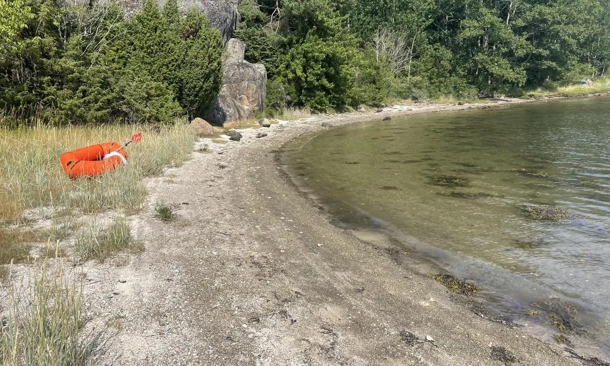 Karholmen - Nistingen - SXK Västkust bouy: {"base": "da", "no": "Badestrand. Obs, skjell.", "se": "Badstrand. Obs, musslor.", "en": "Bathing beach. Caution, mussels.", "da": "Badestrand. Obs, muslinger.", "fr": "Plage de baignade. Attention, moules.", "de": "Badestrand. Achtung, Muscheln.", "es": "Playa de ba\u00f1o. Atenci\u00f3n, mejillones.", "it": "Spiaggia. Attenzione, cozze.", "pt": "Praia para banho. Aten\u00e7\u00e3o, mexilh\u00f5es.", "nl": "Strand. Let op, schelpen.", "pl": "Pla\u017ca dla k\u0105pi\u0105cych si\u0119. Uwaga, ma\u0142\u017ce.", "uk": "\u041f\u043b\u044f\u0436 \u0434\u043b\u044f \u043a\u0443\u043f\u0430\u043d\u043d\u044f. \u0423\u0432\u0430\u0433\u0430, \u043c\u043e\u043b\u044e\u0441\u043a\u0438.", "ro": "Plaj\u0103. Obs, molu\u0219te.", "tr": "Plaj. Dikkat, midyeler.", "el": "\u03a0\u03b1\u03c1\u03b1\u03bb\u03af\u03b1 \u03b3\u03b9\u03b1 \u03bc\u03c0\u03ac\u03bd\u03b9\u03bf. \u03a0\u03c1\u03bf\u03c3\u03bf\u03c7\u03ae, \u03bc\u03cd\u03b4\u03b9\u03b1.", "cs": "Pl\u00e1\u017e. Pozor, mu\u0161le.", "hu": "Strand. Figyelem, kagyl\u00f3k.", "fi": "Uimaranta. Huom, simpukoita.", "bg": "\u041f\u043b\u0430\u0436. \u0412\u043d\u0438\u043c\u0430\u043d\u0438\u0435, \u043c\u0438\u0434\u0438.", "sr": "\u041f\u043b\u0430\u0436\u0430 \u0437\u0430 \u043a\u0443\u043f\u0430\u045a\u0435. \u041f\u0430\u0436\u045a\u0430, \u0448\u043a\u043e\u0459\u043a\u0435.", "et": "Ujumisrand. T\u00e4helepanu, karbid.", "lv": "Peldvieta. Uzman\u012bbu, gliemenes.", "lt": "Papl\u016bdimys. Atkreipkite d\u0117mes\u012f, kriaukl\u0117s."}