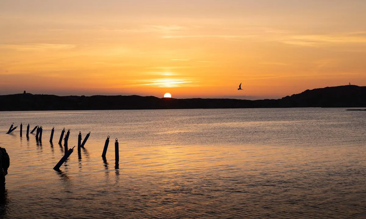 Käringöns Gästhamn
