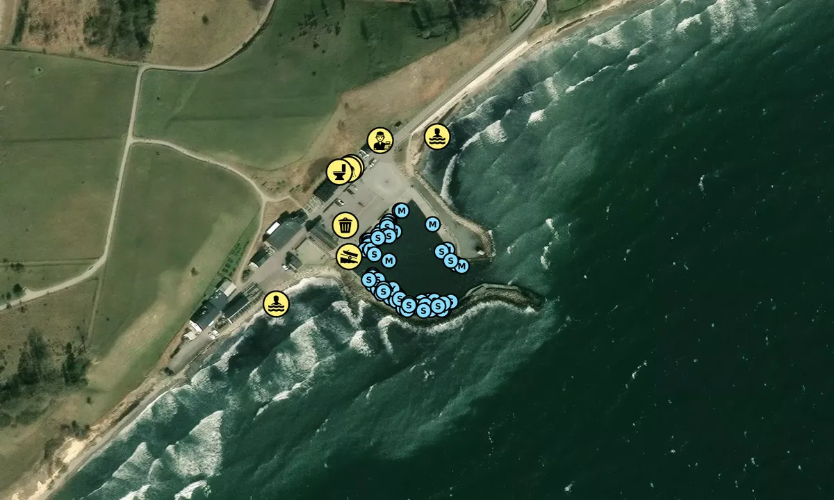 Satelite image of Kåseberga Hamn