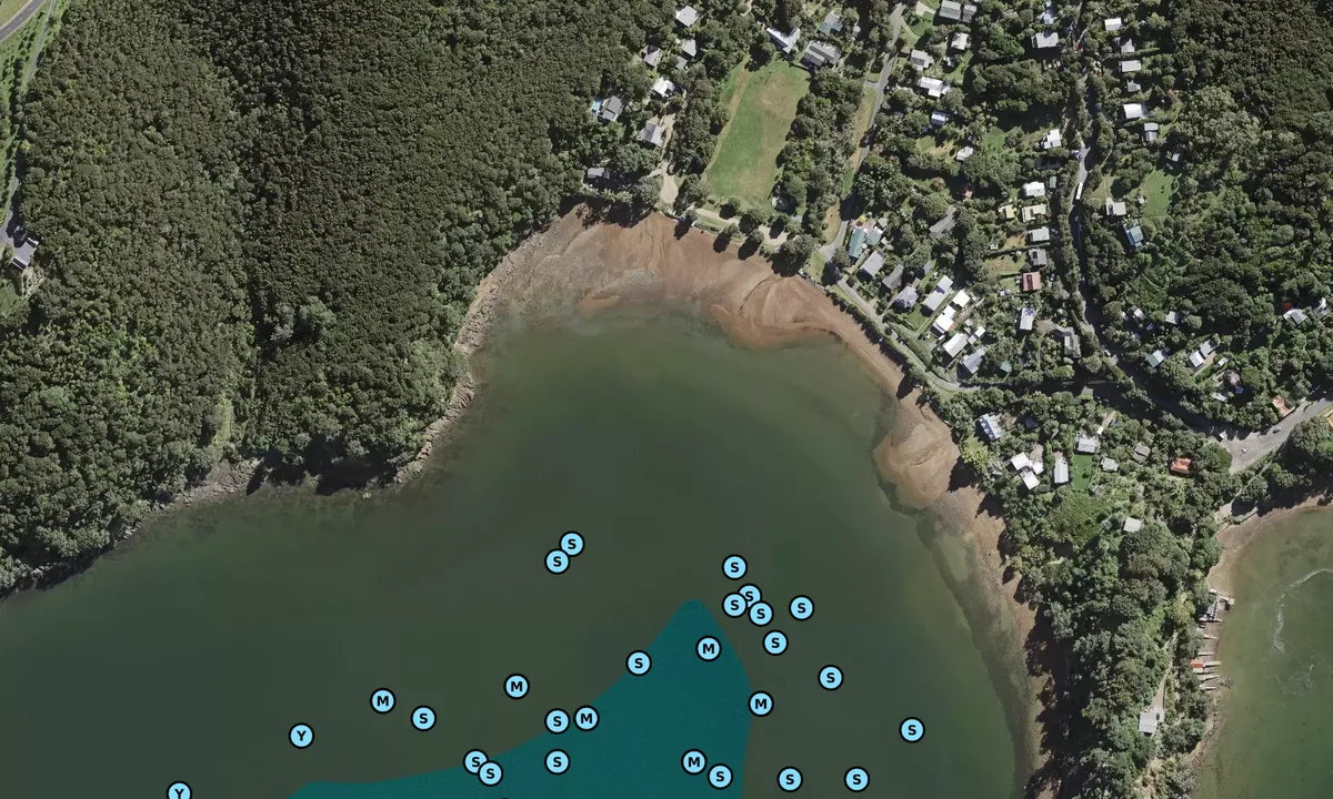 Satelite image of Kauakarau Bay