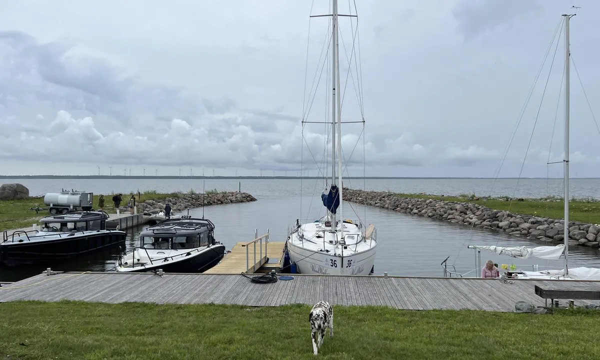 Kesse-Jaani Harbour
