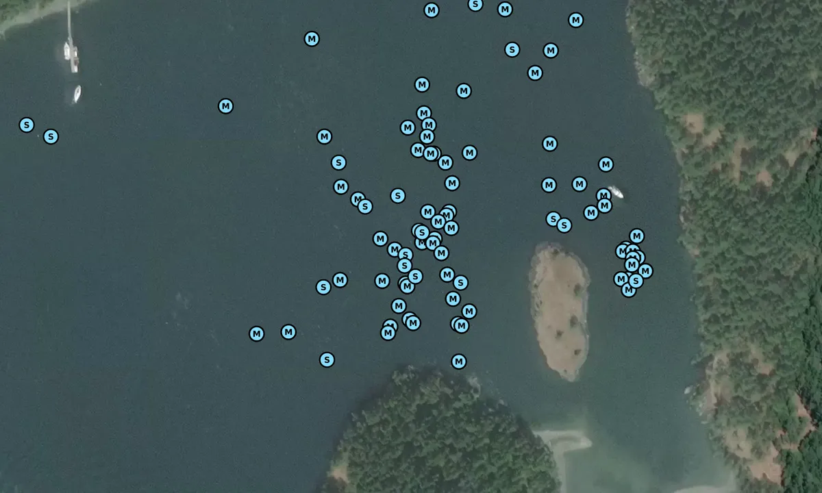 Satelite image of Kimball Preserve