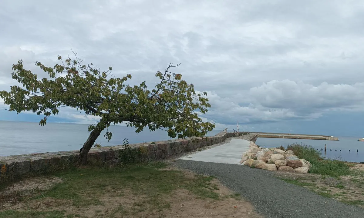 Kiviks Hamn