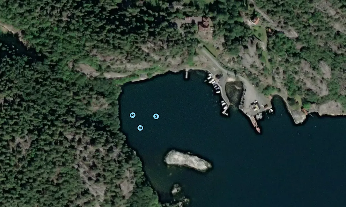 Satelite image of Kjødvika