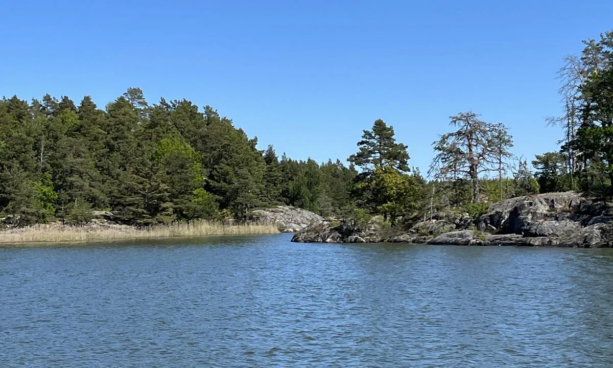 Klitt: Flott naturnavn i moderat vind. Mulig for motorbåter å fortøye i land flere steder. Kanskje mulig for seilbåter også, men prøvde ikke. 
Midt i havna slet vi med ankerfeste, flyttet oss litt østover, og der var det svært godt feste.

Vanskelig å få gode oversiktsbilder da det ikke er noen høyder rundt øya, men naturskjønn havn med god plass og mange muligheter.