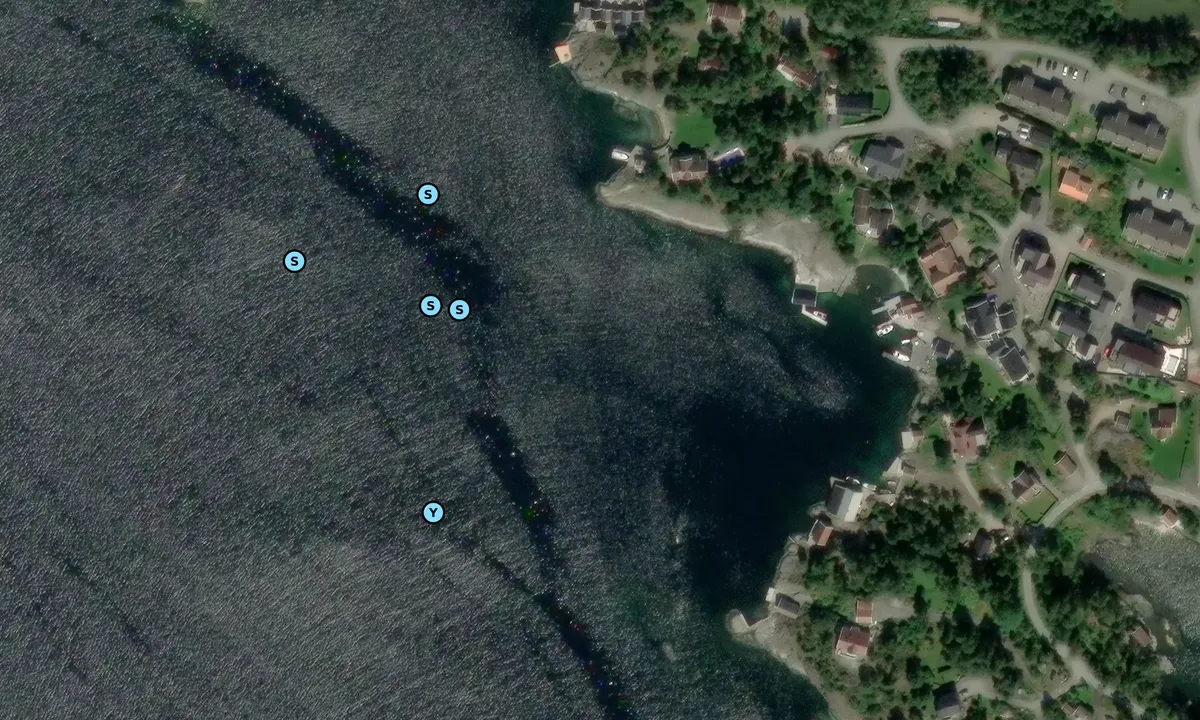 Satelite image of Kosseviga