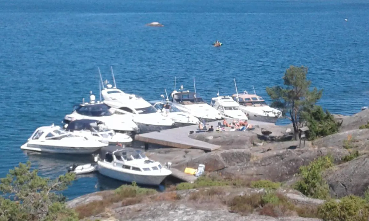 Kråka